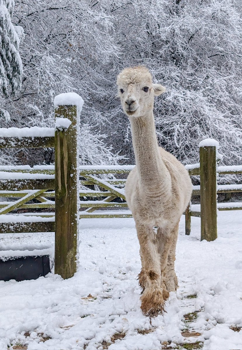 mark easter tweet media