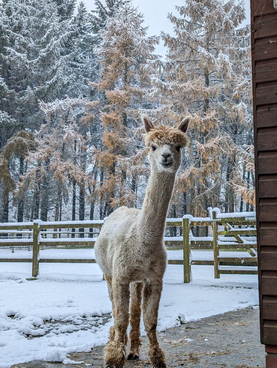 mark easter tweet media