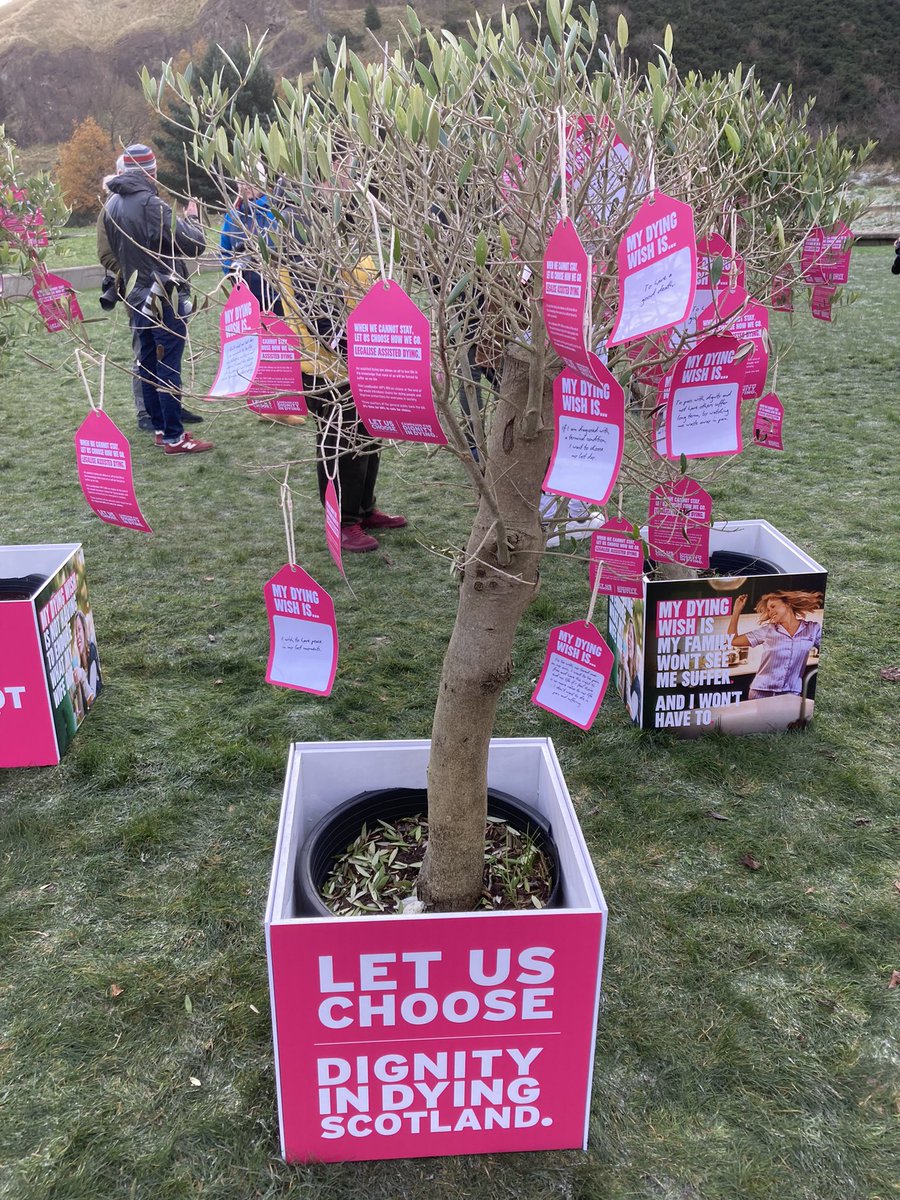 Max Sefton tweet media