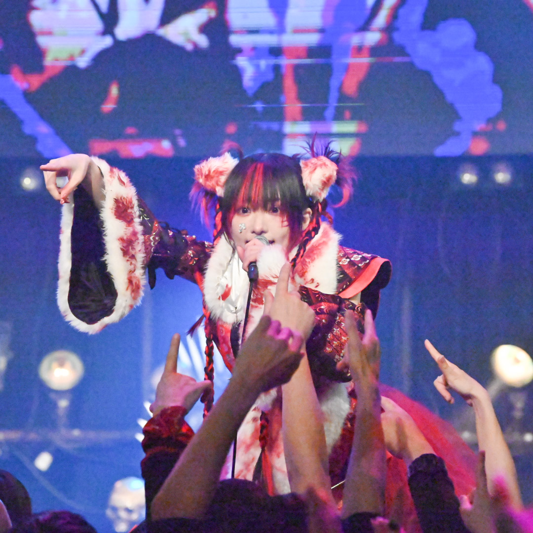 kazukinta's tweet photo. 椎名ひかり降誕祭 ②～惢骸～at club asia 2024/11/18 
発狂怨狐とはいえ基本のぴ様?は可愛い🥳しかしアンコールFIRELIARのパリピ眼鏡はいったい何だったのか？最後に謎を残すぴ様…🤔
#椎名ひかり降誕祭2024
#椎名ひかり 
#PSAMA https://t.co/mEI4D6KAv1
