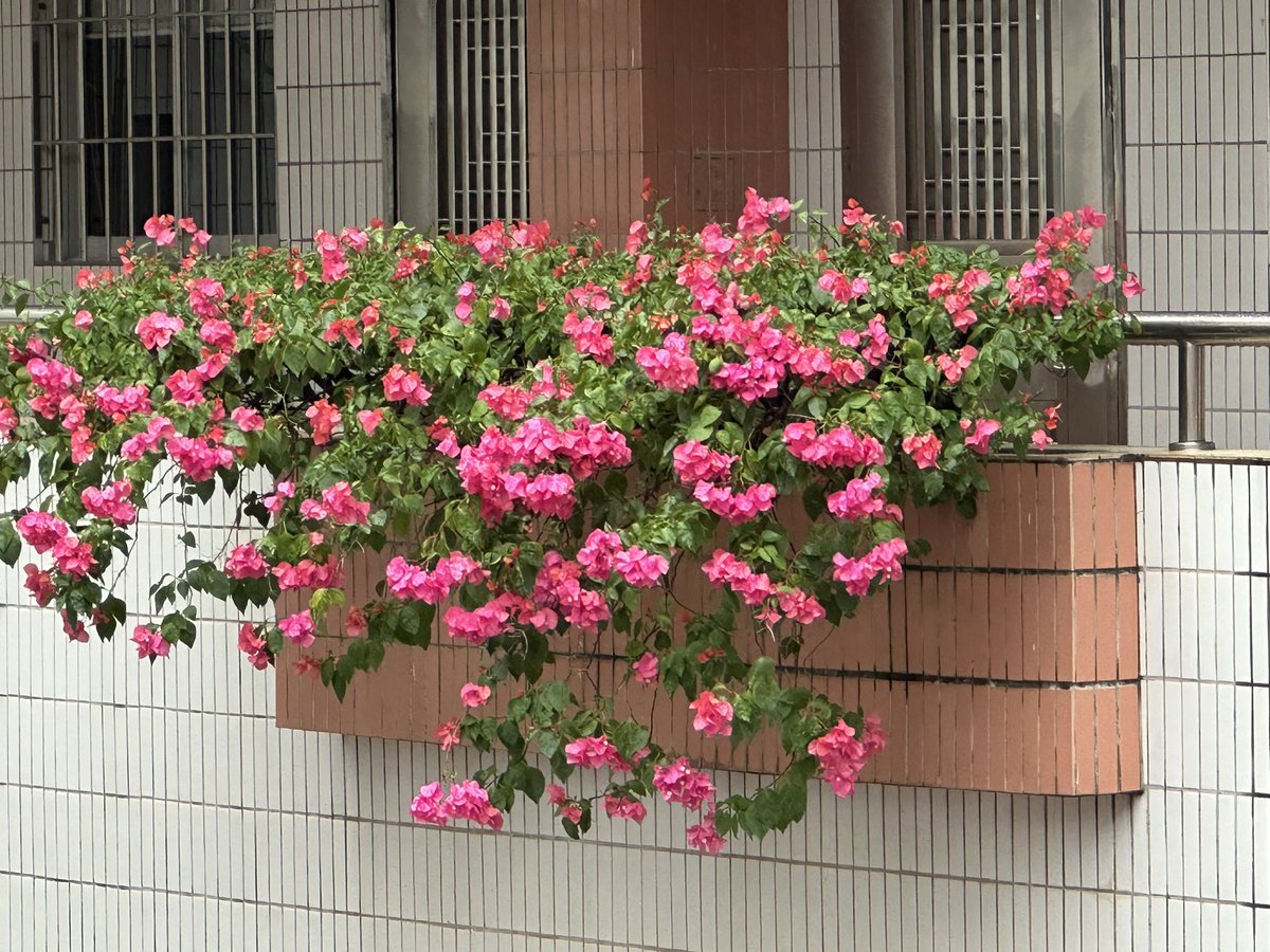 Fw (@t7yqefc4z344r7t) on Twitter photo 