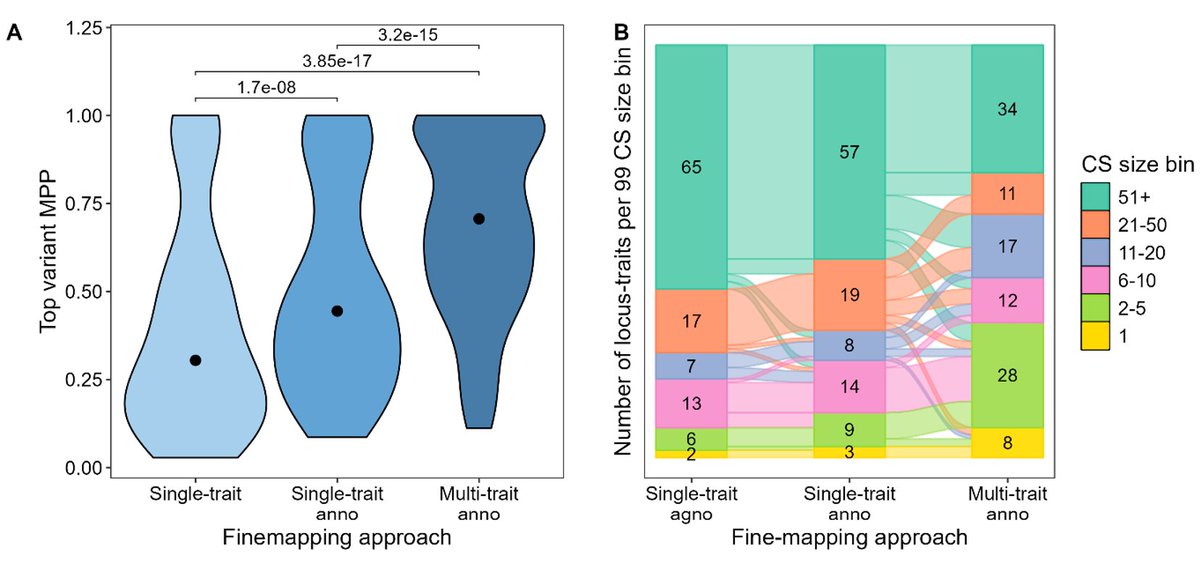 Jennifer  Asimit tweet media
