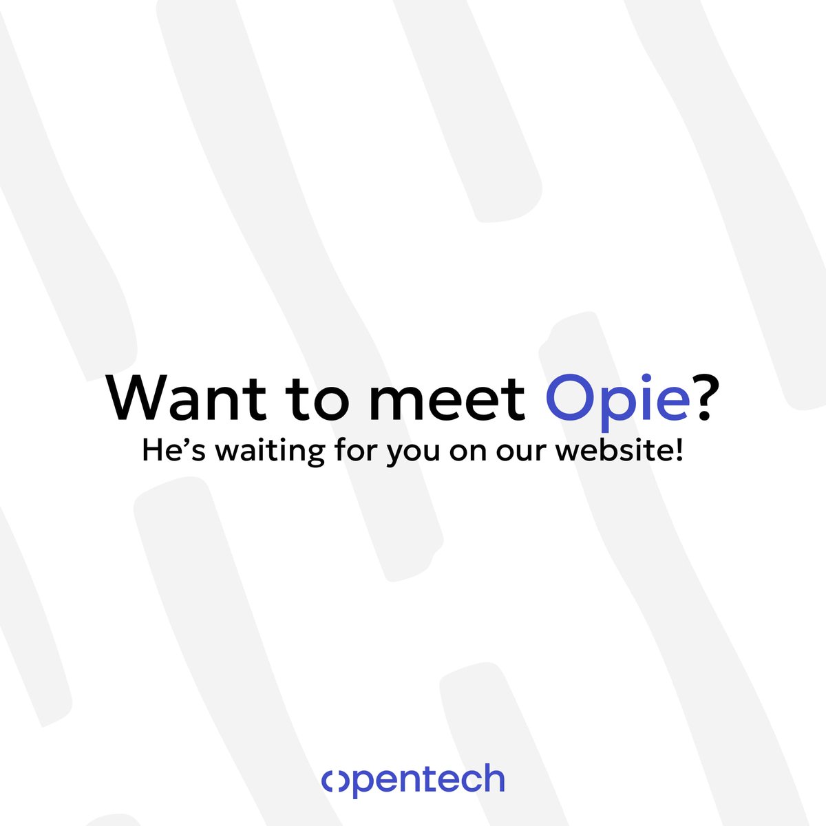 opentechcorfu's tweet photo. Meet Opie, Our New Team Member! https://t.co/3r2XLPxtMl