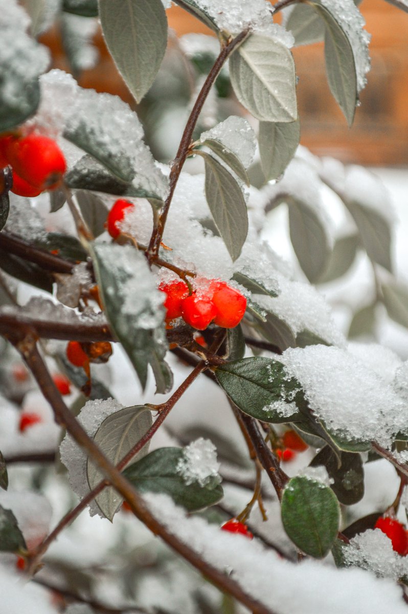 There isn't much prettier than Keble in the snow ❄️☃️