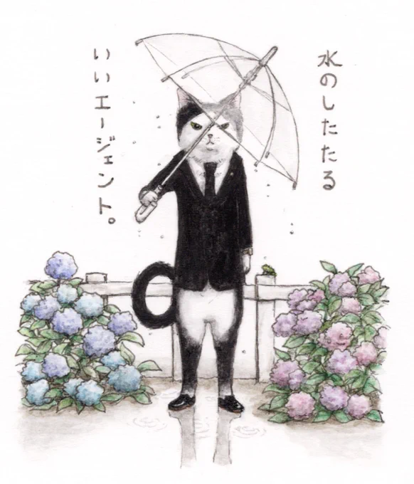 『エージェントは雨の日も休まない』😼☂️

したたってこそ雨☔

#キミとダスキス  
#ドタバタ猫ズ 