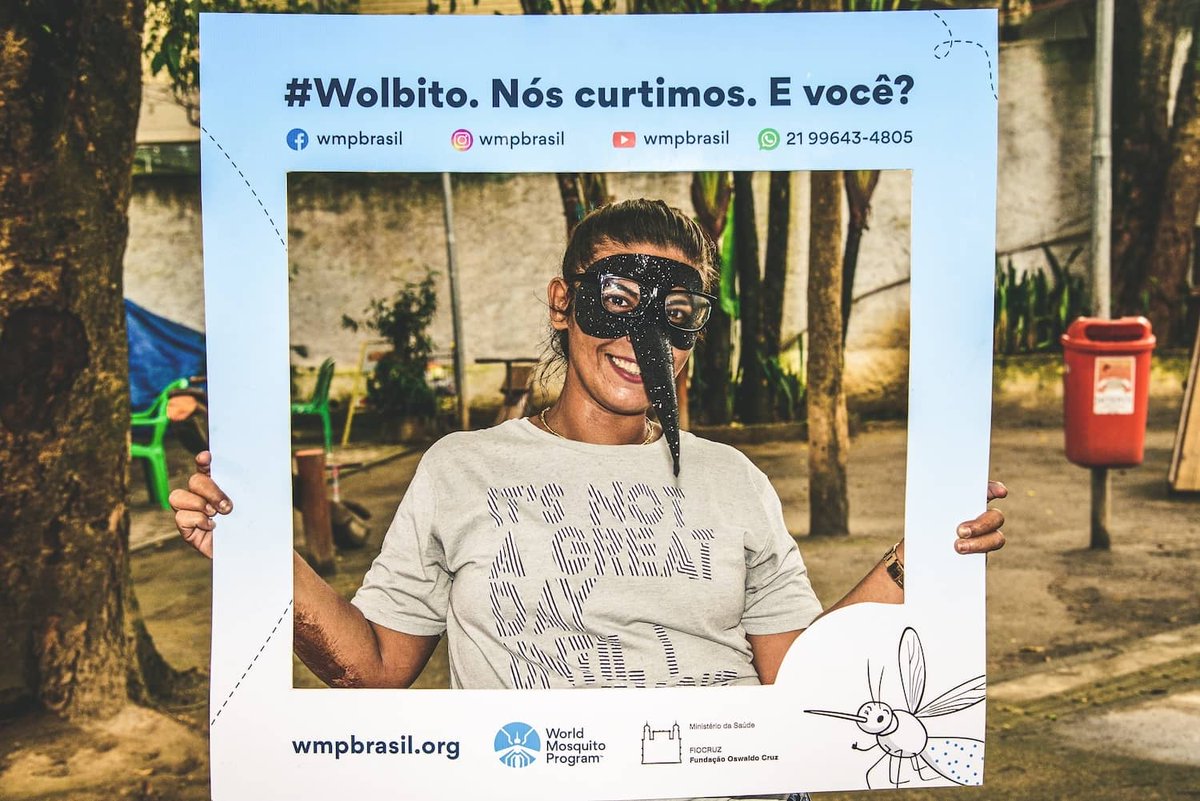 A 90% drop in #dengue cases—Niterói, Brazil, is showing what’s possible in the fight against mosquito-borne diseases. Discover how our #Wolbachia method made this a reality: worldmosquitoprogram.org/en/news-storie…