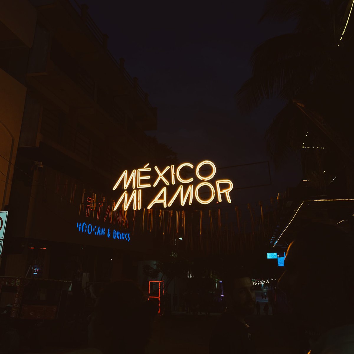 Lo mejor es que me olvide cuanto antes de México. Pasar página e intentar borrar de mi mente que a nueve horas en avión existe esto. Es la única forma de sobrellevarlo hasta que vuelva.