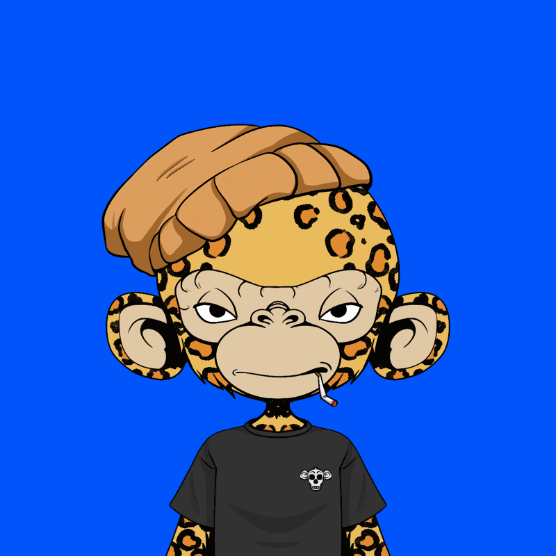 TimmyApes's tweet photo. GMIMMY 🐒 https://t.co/8UmrstBhqk
