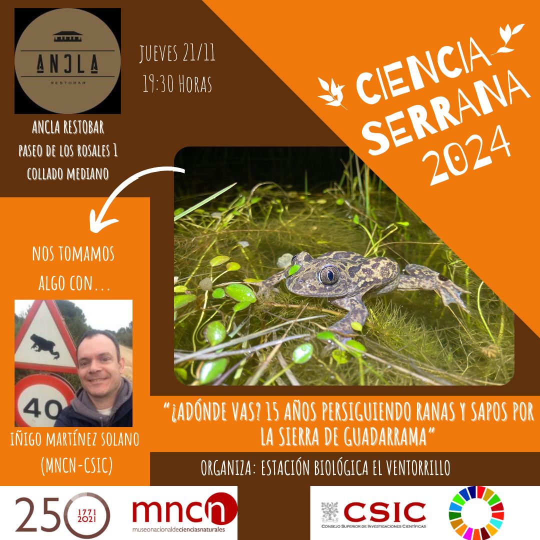 Museo Nacional de Ciencias Naturales (@mncn_csic) on Twitter photo #cienciaserrana2024 La destrucción y fragmentación de hábitats es una de las mayores amenazas para los anfibios. <a href="/batracofistro/">Iñigo Martinez-Solano</a> investiga los parámetros demográficos clave de poblaciones de sapos y ranas de la Sierra de Guadarrama.‼️21 nov. 19:30h Ancla Restobar <a href="/Ayto_CMediano/">Ayuntamiento de Collado Mediano</a>. #cienciaserrana2024 La destrucción y fragmentación de hábitats es una de las mayores amenazas para los anfibios. <a href="/batracofistro/">Iñigo Martinez-Solano</a> investiga los parámetros demográficos clave de poblaciones de sapos y ranas de la Sierra de Guadarrama.‼️21 nov. 19:30h Ancla Restobar <a href="/Ayto_CMediano/">Ayuntamiento de Collado Mediano</a>.
