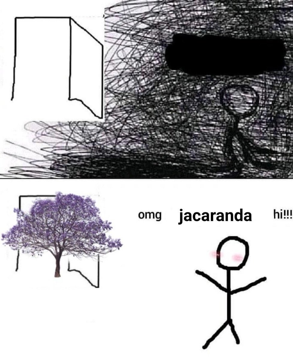 me parece tan hermoso que tengamos toda la ciudad florecida con el árbol más bello del mundo hace una semana que salgo a la calle así