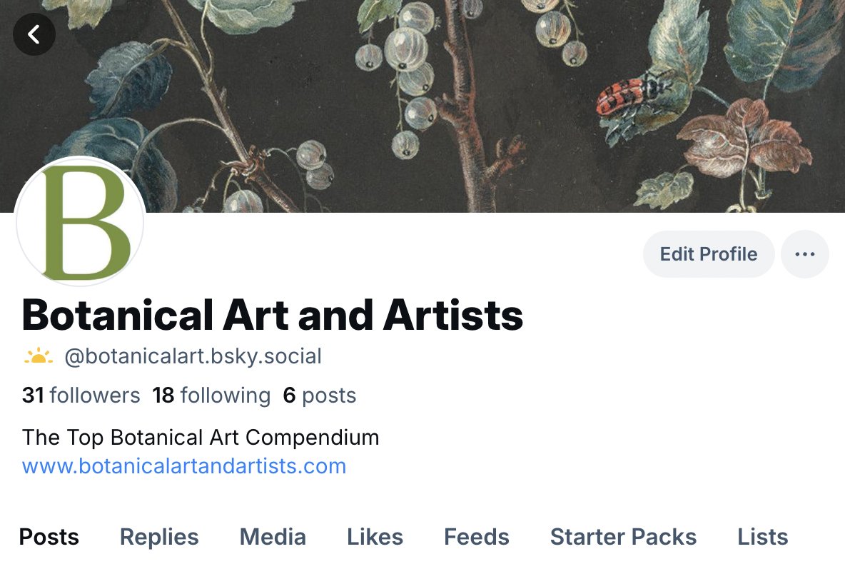 Botanical Art and Artists tweet media