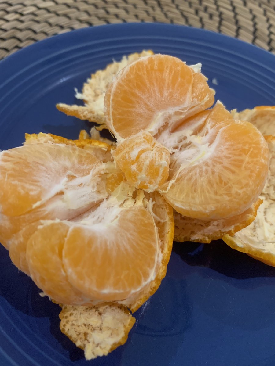 maroonsversion's tweet image. BYE MY TANGERINE WAS PREGNANT???