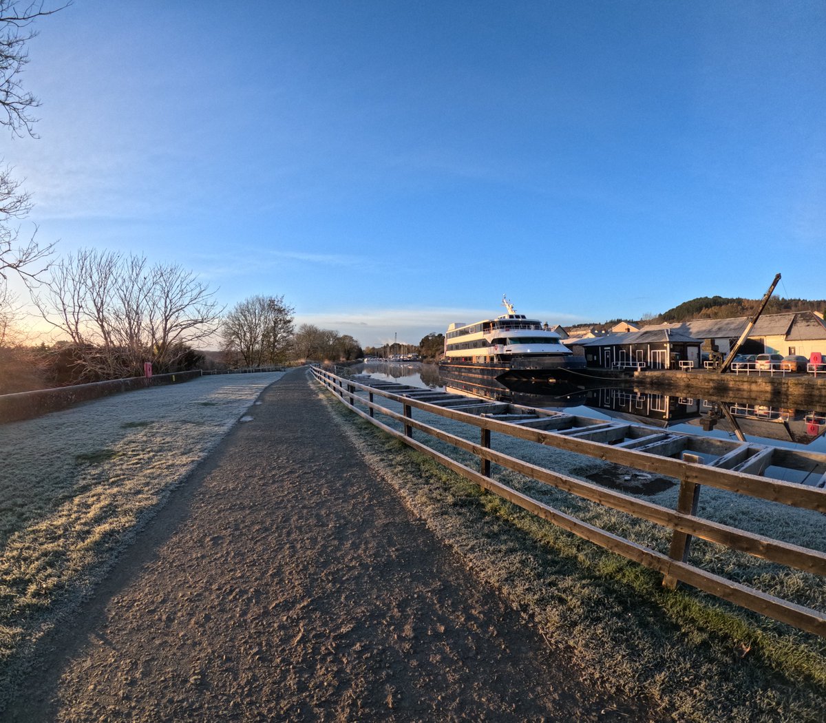 Caley Marina tweet media