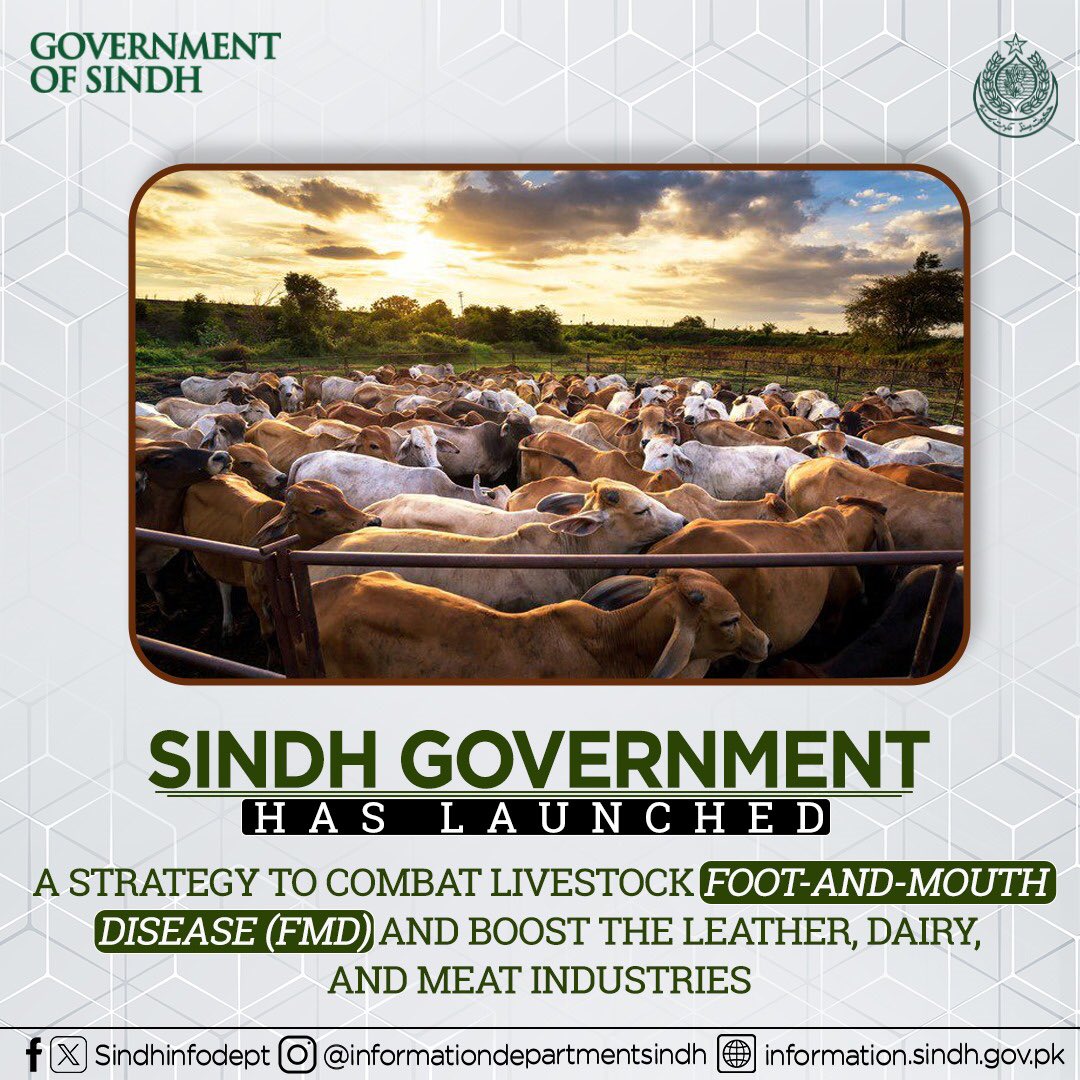 Sindh Government has launched a comprehensive strategy for combating livestock foot-and-mouth diseases (FMD) and promoting sectoral development of the leather industry, dairy production, and meat production.

#ProgressiveSindh #VisionSindh