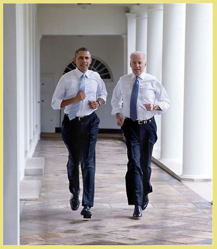 Raise your hand 🖐️ if you never voted for Trump