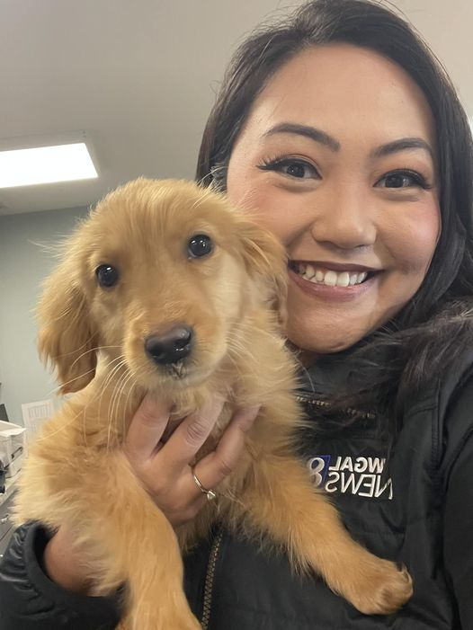 ReginaAhn's tweet photo. Tiny has pulmonary valve stenosis, a heart defect. Tonight on @wgal at 6 pm, we see how pupps like her get the help they need and prepare for adoption @DVGRR with #ExtraGive https://t.co/gEaZasbdCg