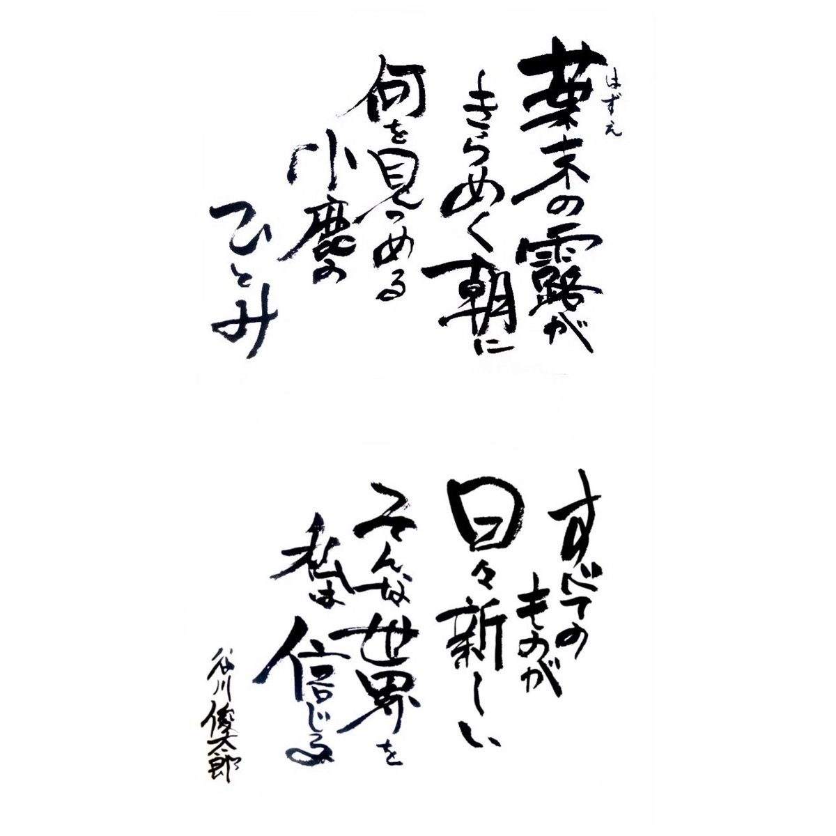 kospms11471's tweet photo. #谷川俊太郎 https://t.co/6xCwGQu3NL