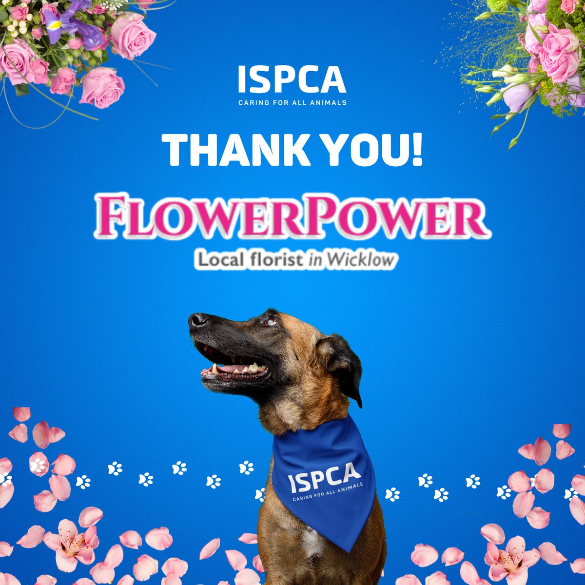 A big thank you to Flower Power, the local florist in Ashford, Co. Wicklow, for their incredible generosity! 🌸🌿 Through their donation box, they raised an amazing €98.10 to support the ISPCA and help us care for animals in need! 💙🐾