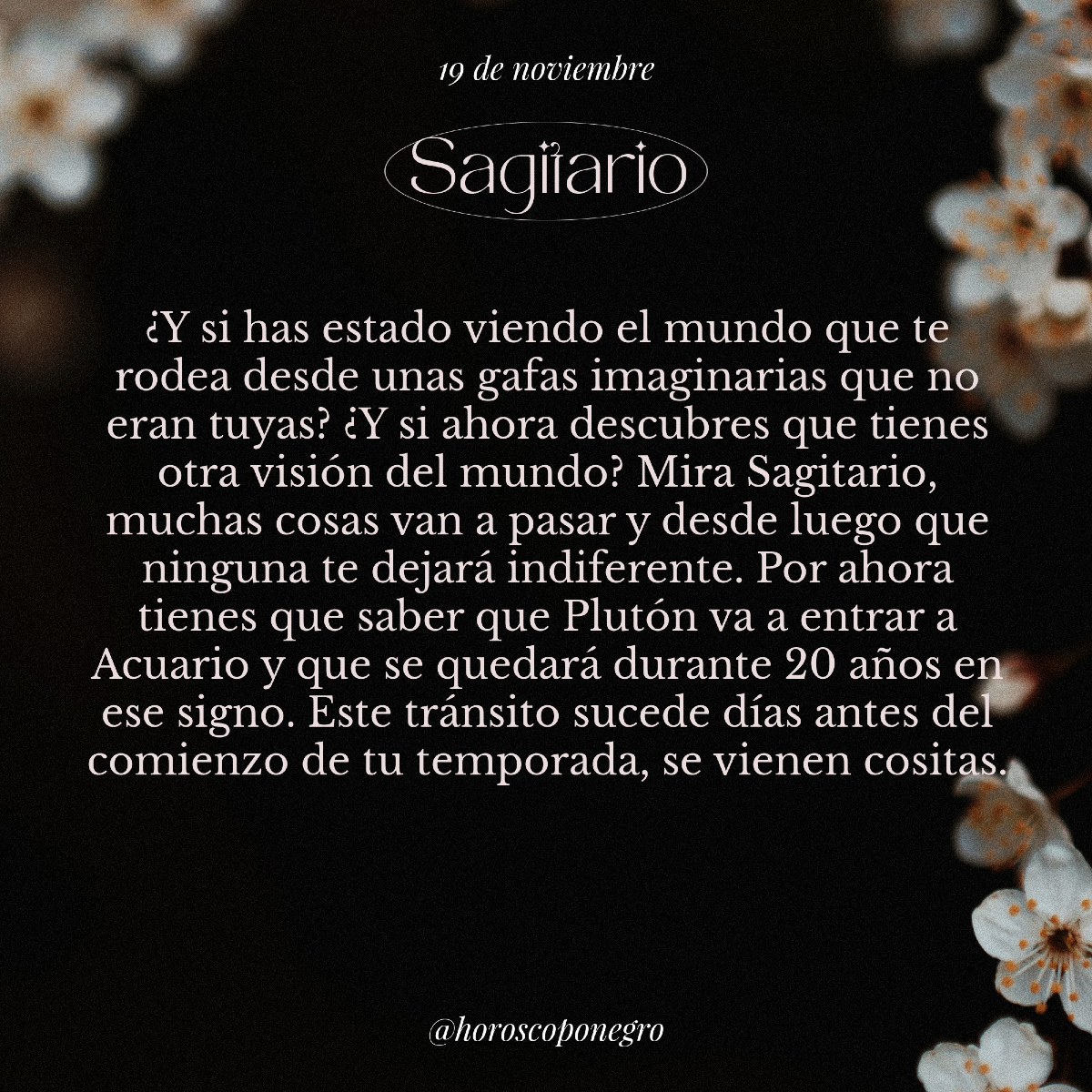 sagitario_hn's tweet photo. ✨♐️✨ https://t.co/xOVYyk7n6Y