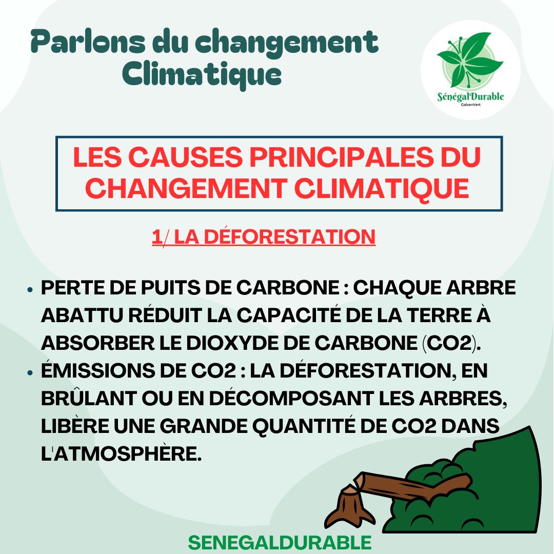 SenegalDurable tweet media