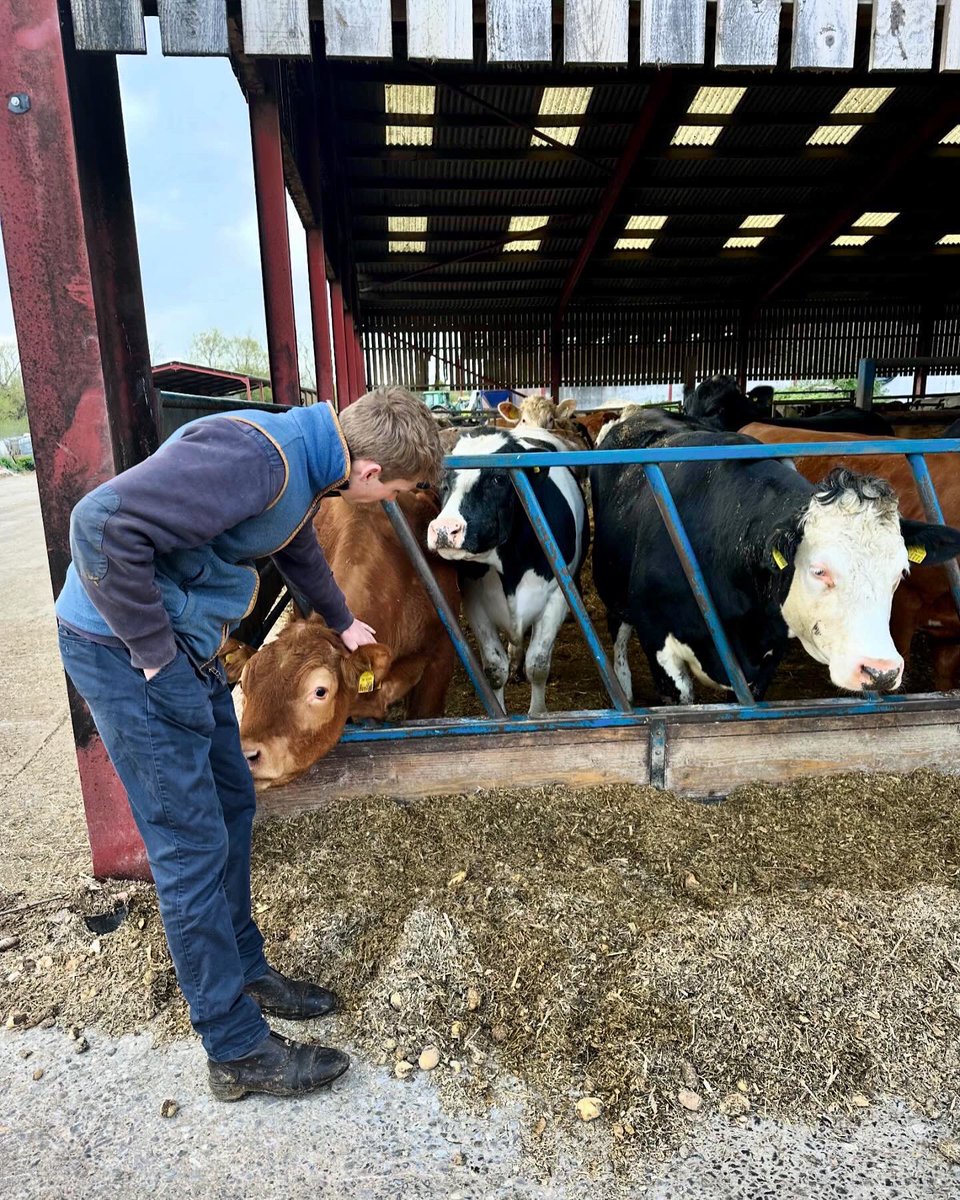 Harry Cobden tweet media