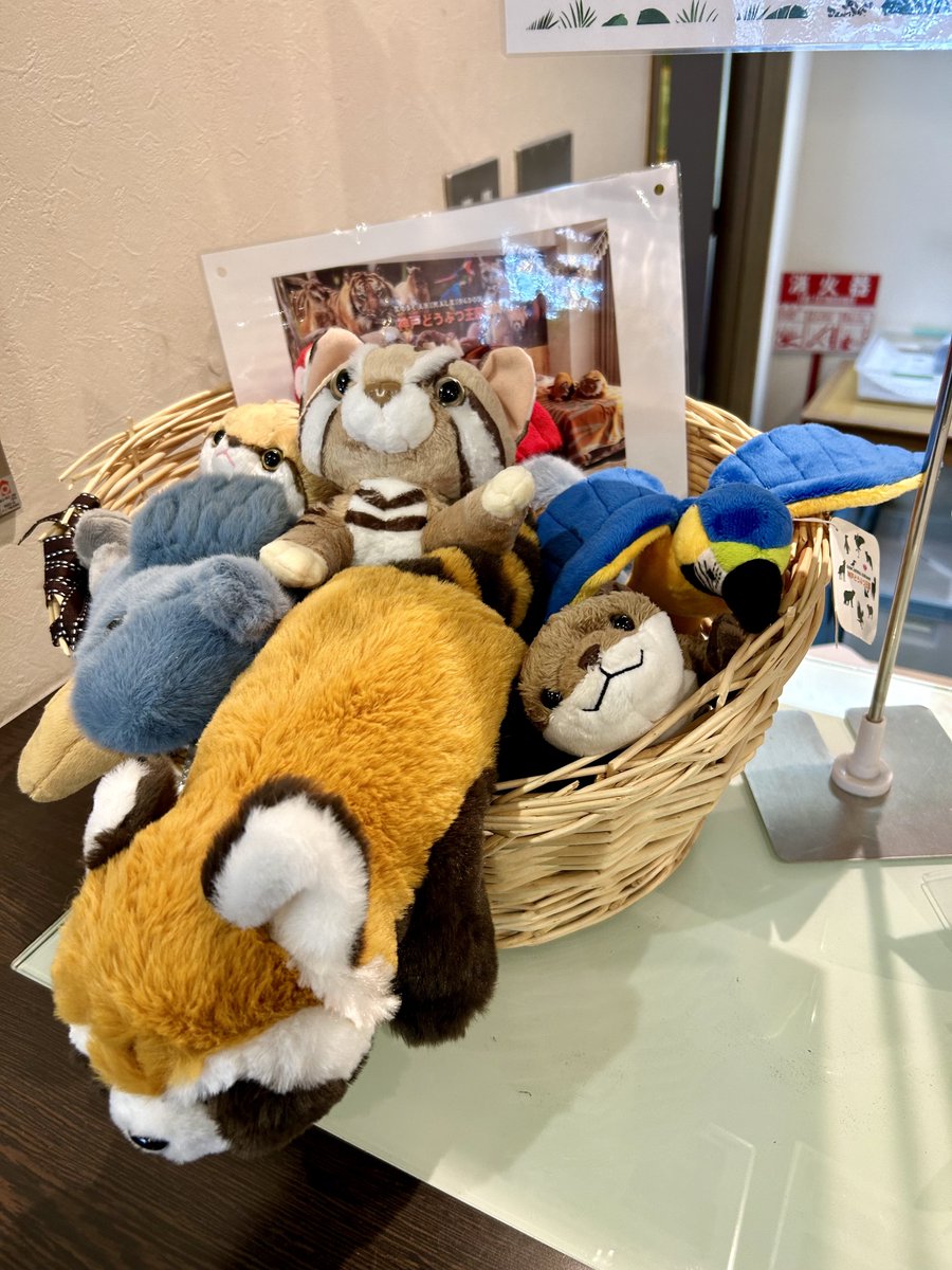 いっと (@this_is_itto) on Twitter photo 