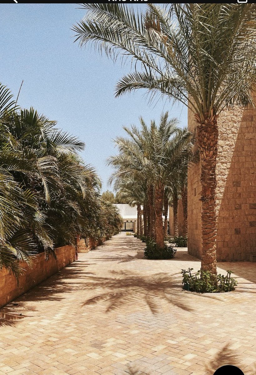 Shabnam Samuel tweet media