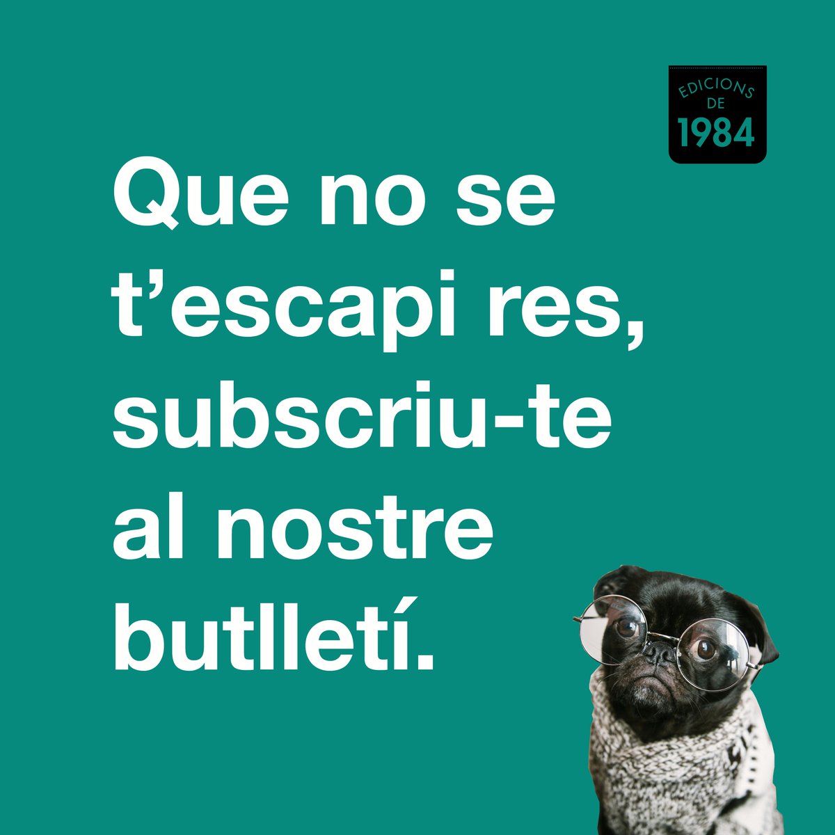 Subscriu-te al butlletí d'Edicions de 1984 fent clic al següent enllaç:
edicions1984.cat/#newsletter