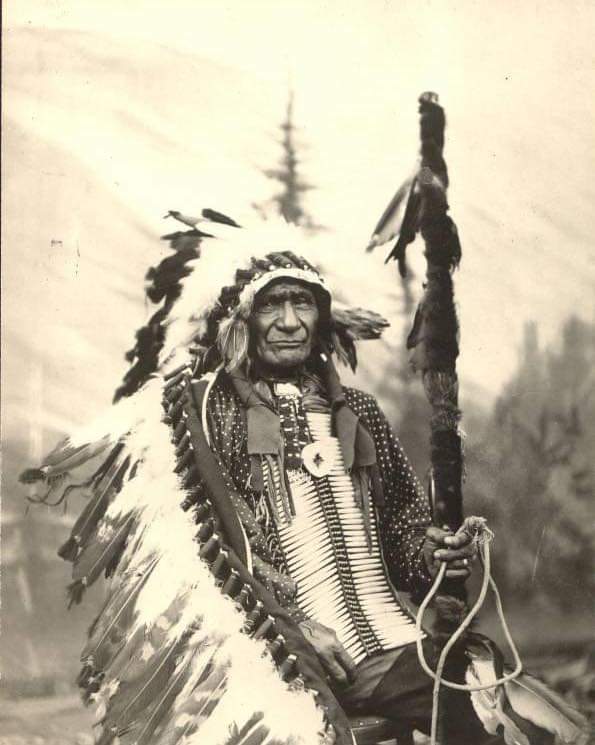 Native American Power🇺🇲 tweet media