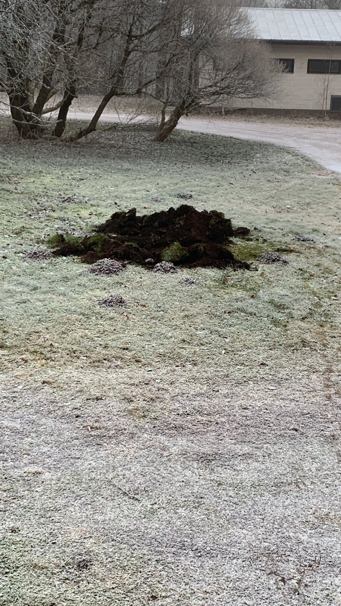 Ama 🐍 Useless Trinket tweet media