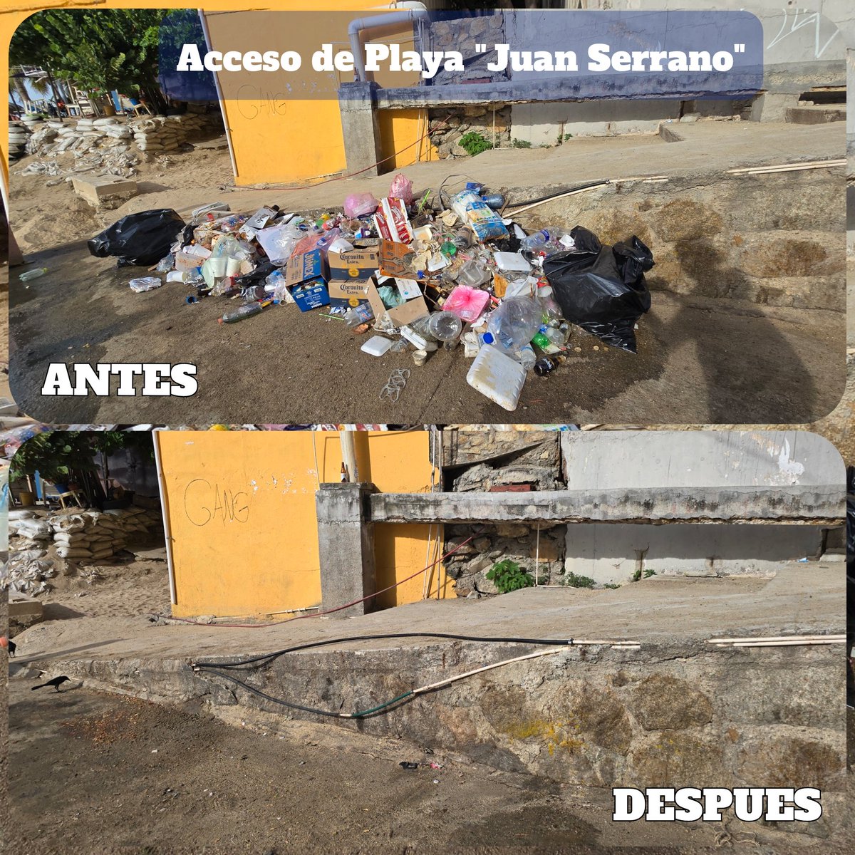 Promotora de Playas Acapulco tweet media