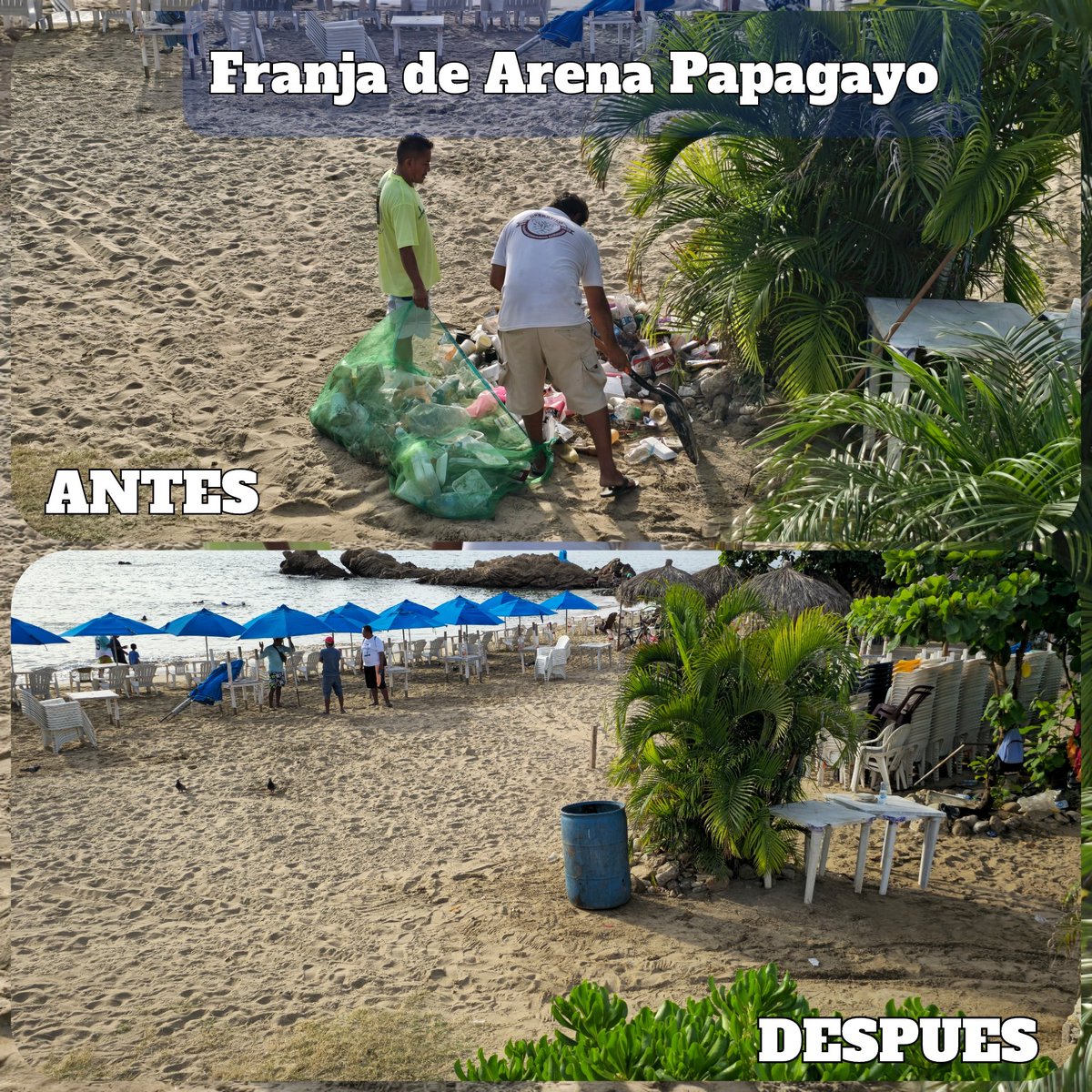 Promotora de Playas Acapulco tweet media