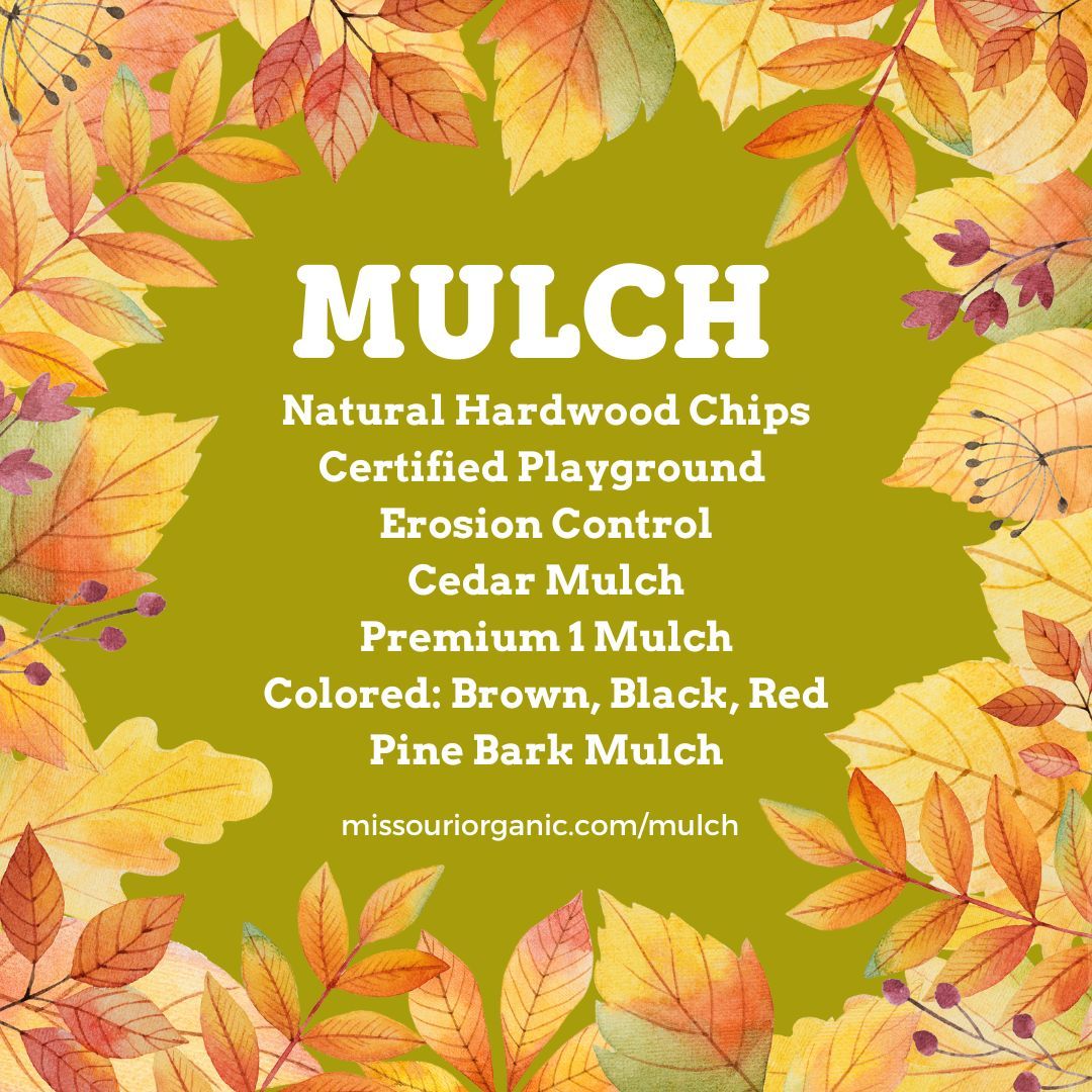 Fall is the perfect time to replenish your mulch! It protects roots from fluctuating temperatures, insulates soil, retains moisture, and suppresses weeds. 

Learn more at buff.ly/3zPgjEI.