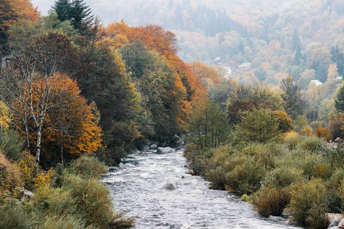 On vous offre cet instant d'évasion, avec ce beau paysage de la fin de l'automne en #Lozère 🍂🤎
📸 debeauxlentsdemains