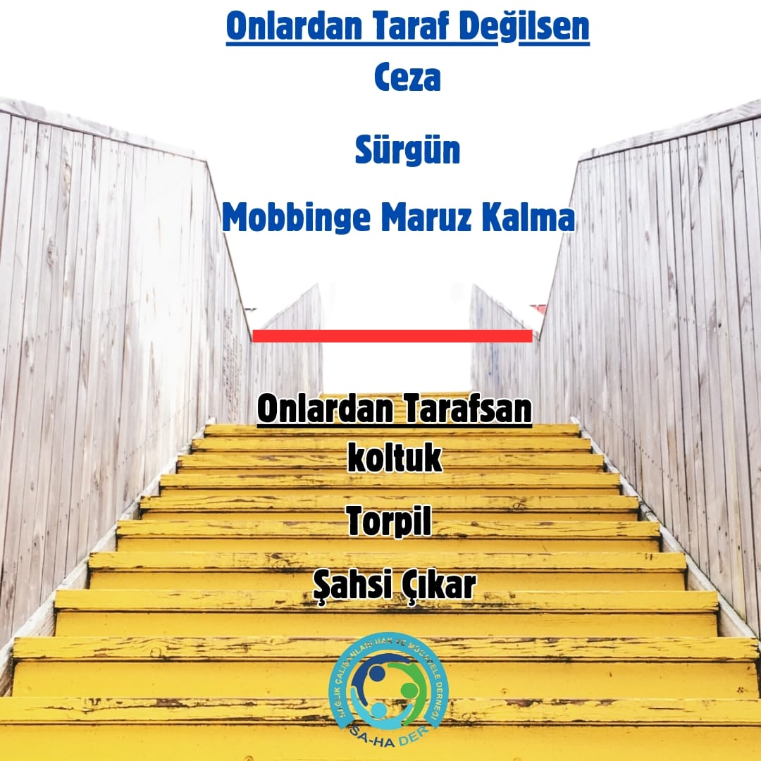 SaHaDerAnkara's tweet photo. Adalet, Liyakat, iyi yönetim, etik ilkeler istiyoruz
#SağlıktaSarıYapılanma https://t.co/AcmUR2f69H