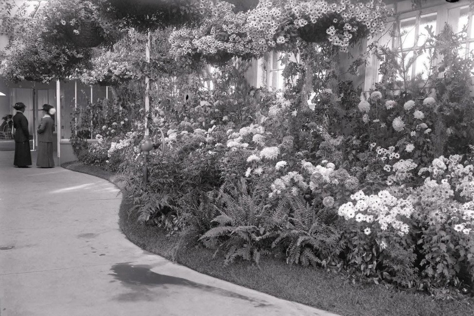 UMN Jobs (@umn_jobs) on Twitter photo Did you know that the U of M is home to the world's oldest public breeding sector of Chrysanthemum? Learn more about this fascinating flower and the U of M's cold hardy research program: arb.umn.edu/blog/2024/11/0… <a href="/UMNHorticulture/">UMN Horticulture</a> Did you know that the U of M is home to the world's oldest public breeding sector of Chrysanthemum? Learn more about this fascinating flower and the U of M's cold hardy research program: arb.umn.edu/blog/2024/11/0… <a href="/UMNHorticulture/">UMN Horticulture</a>