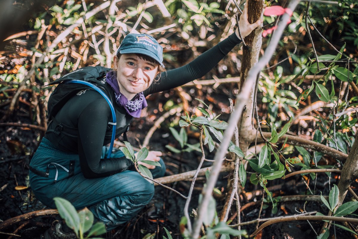 Brooke Fitzwater, PhD (she/her) 🐟🏳️🌈 tweet media