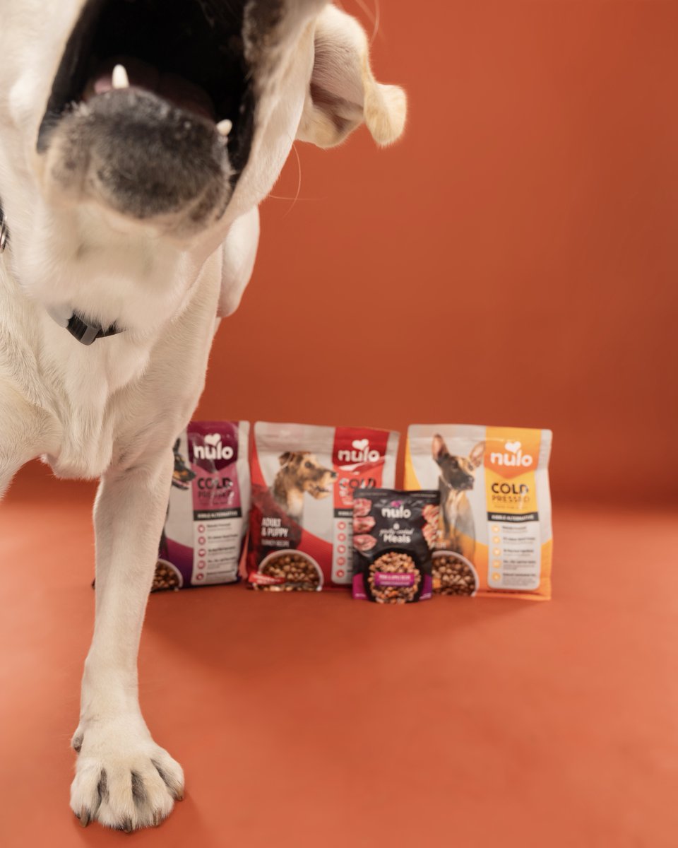 Dogs go wild for Nulo Cold Pressed Food! A cold formed, slow dried kibble alternative that include pre, pro &amp; post-biotics for exceptional digestive &amp; immune system support. Shop Nulo in store or online here bit.ly/3AKBmPe
