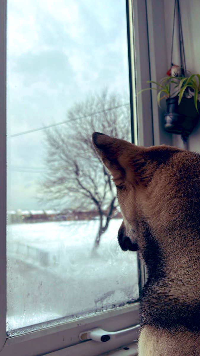 Jessica Milner tweet media