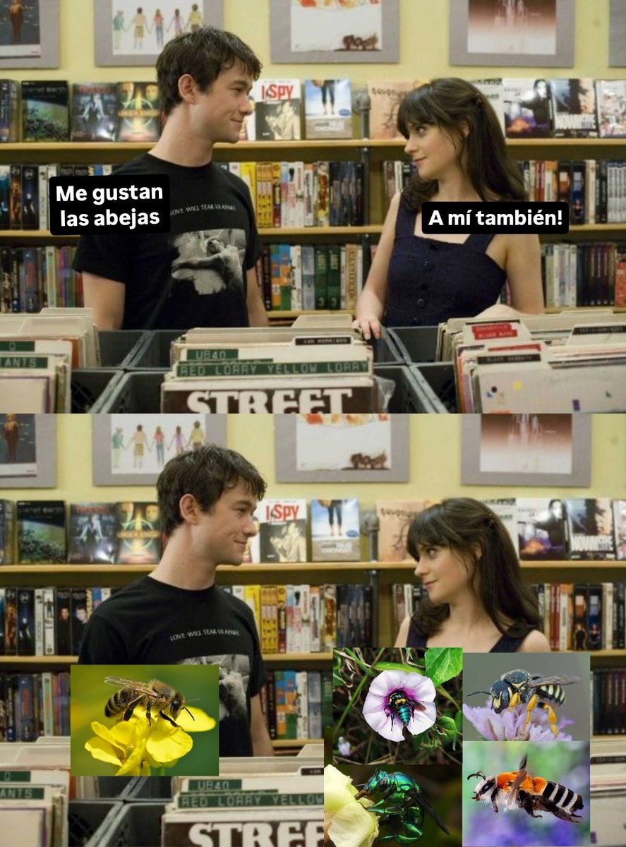 No olvidemos que hablar de abejas va más allá de solo una especie que hace miel 🐝