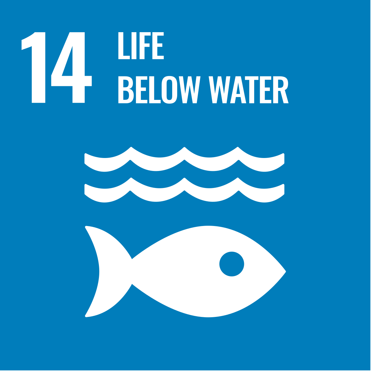IcelandUN's tweet image. Iceland 🇮🇸 firmly supports efforts towards sustainable fisheries and  actively contributed to the UN 🇺🇳 informal consultations for the draft resolution on sustainable fisheries held last week #sdgs #SDG14 #DOALOS #fisheries #aquaculture #lifebelowwater  #globalgoals