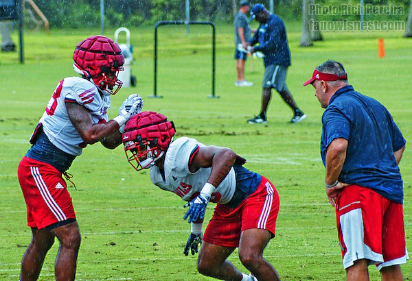 FAU Owls Nest tweet media