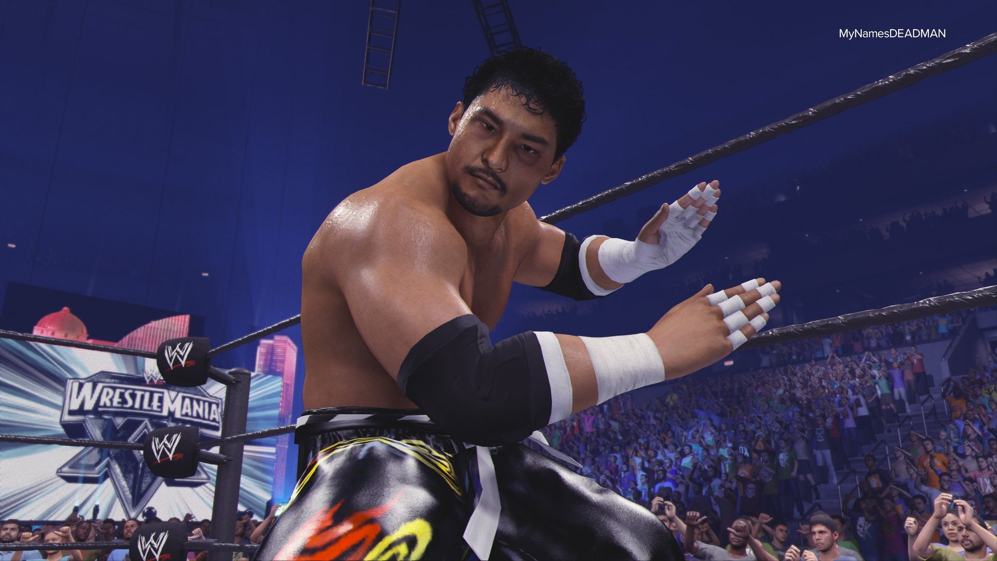 スポーツ選手 TAJIRI 九州プロレス