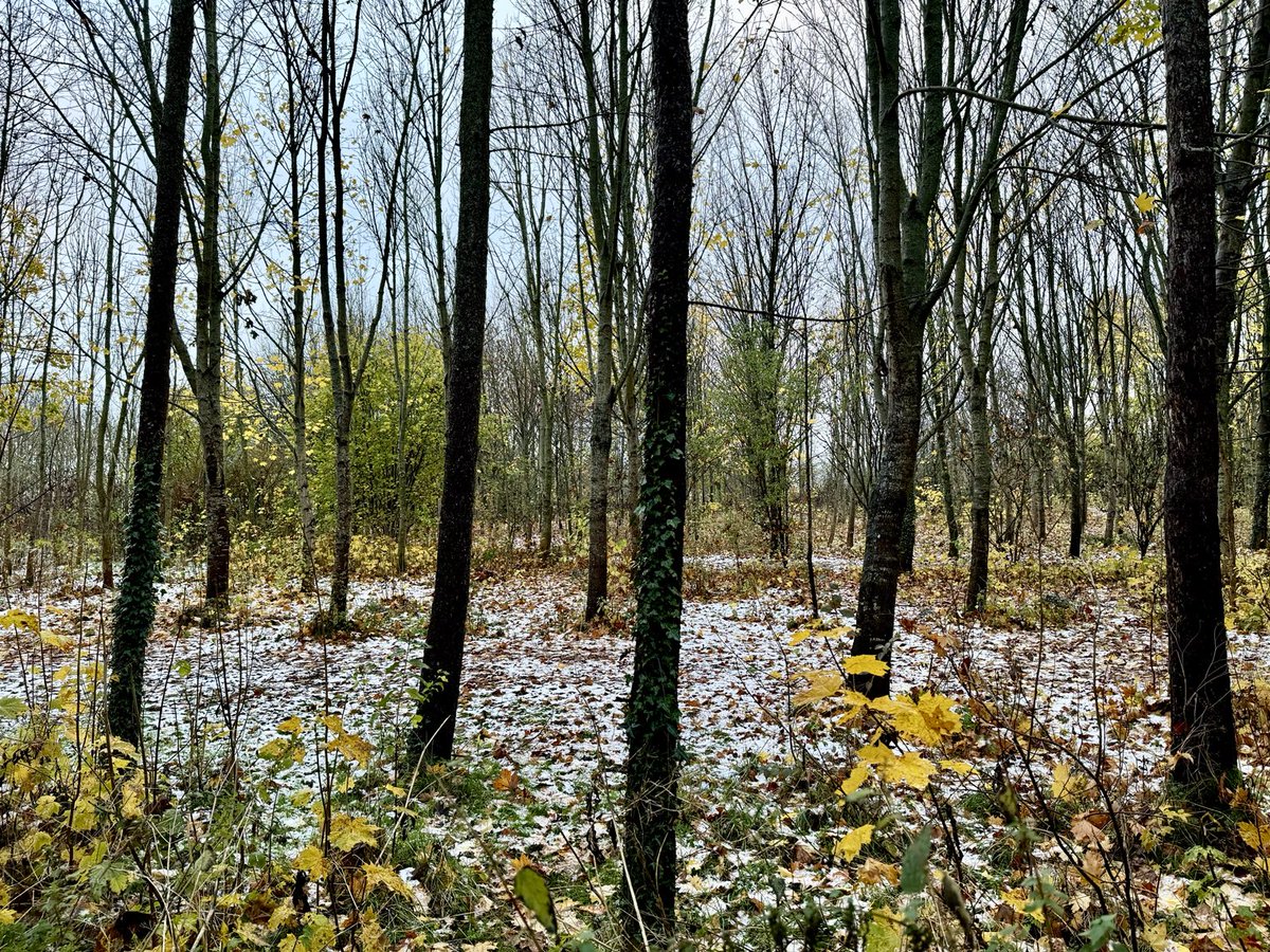 A dusting of snow in the Wychwood