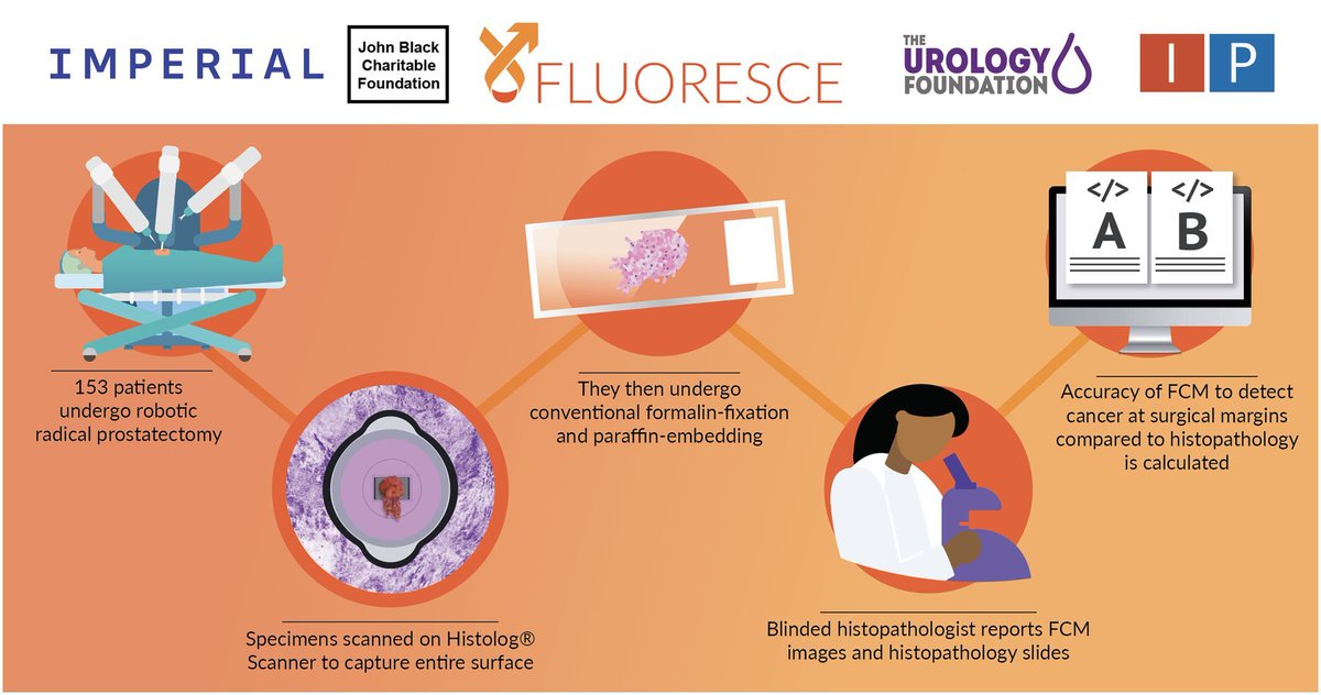 Imperial Prostate (@ip_london) on Twitter photo The protocol paper for the IP8-FLUORESCE trial is now published #openaccess in <a href="/BJUIjournal/">BJU International</a>! Excellent work led by <a href="/NikhilMayor/">Nikhil Mayor</a> and @SageOfLondon1
Keep tuned for the results!
Read for free: buff.ly/48ZquK5 The protocol paper for the IP8-FLUORESCE trial is now published #openaccess in <a href="/BJUIjournal/">BJU International</a>! Excellent work led by <a href="/NikhilMayor/">Nikhil Mayor</a> and @SageOfLondon1
Keep tuned for the results!
Read for free: buff.ly/48ZquK5