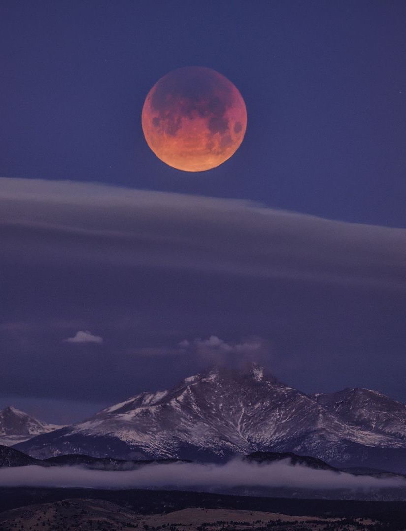 occultbot (@0ccultbot) on Twitter photo 