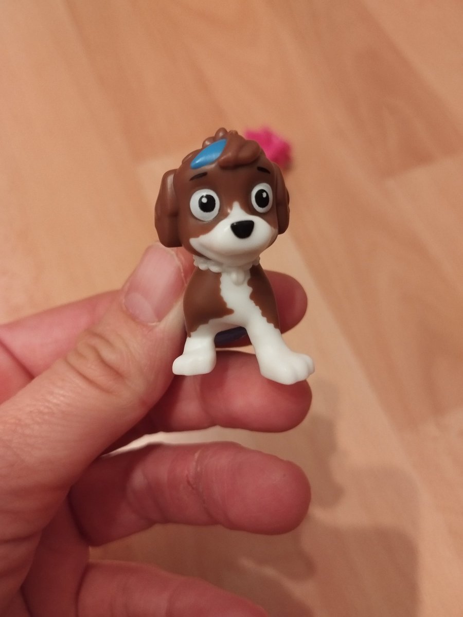 Ihr wisst doch immer alles. Wie heißt dieser Hund aus der Serie Paw Patrol?