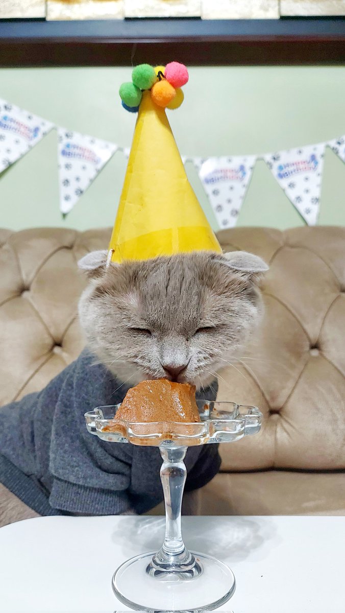 senatomar's tweet image. Köfte is 5 ! 👻