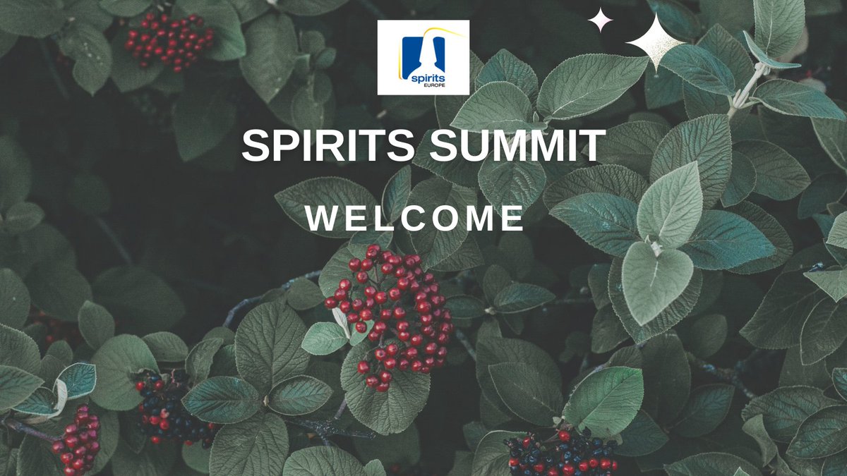 spiritsEUROPE's tweet photo. In a few minutes, the spiritsEUROPE Summit 2024 will start, with great topics to be covered by great speakers and panelists. The first to start will be our President, @IanMcLernon1. Stay tuned! #SpiritSummit https://t.co/XDRxhxkyS0