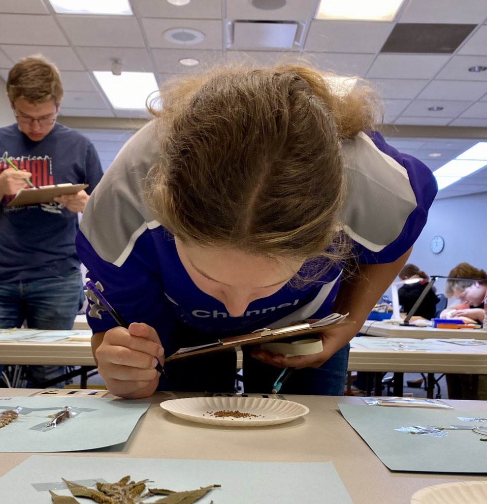 Bad day to be a crop.
#CropCats